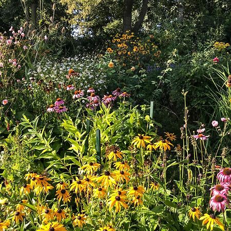 Gartenhaus Frieda Galmsbull 외부 사진