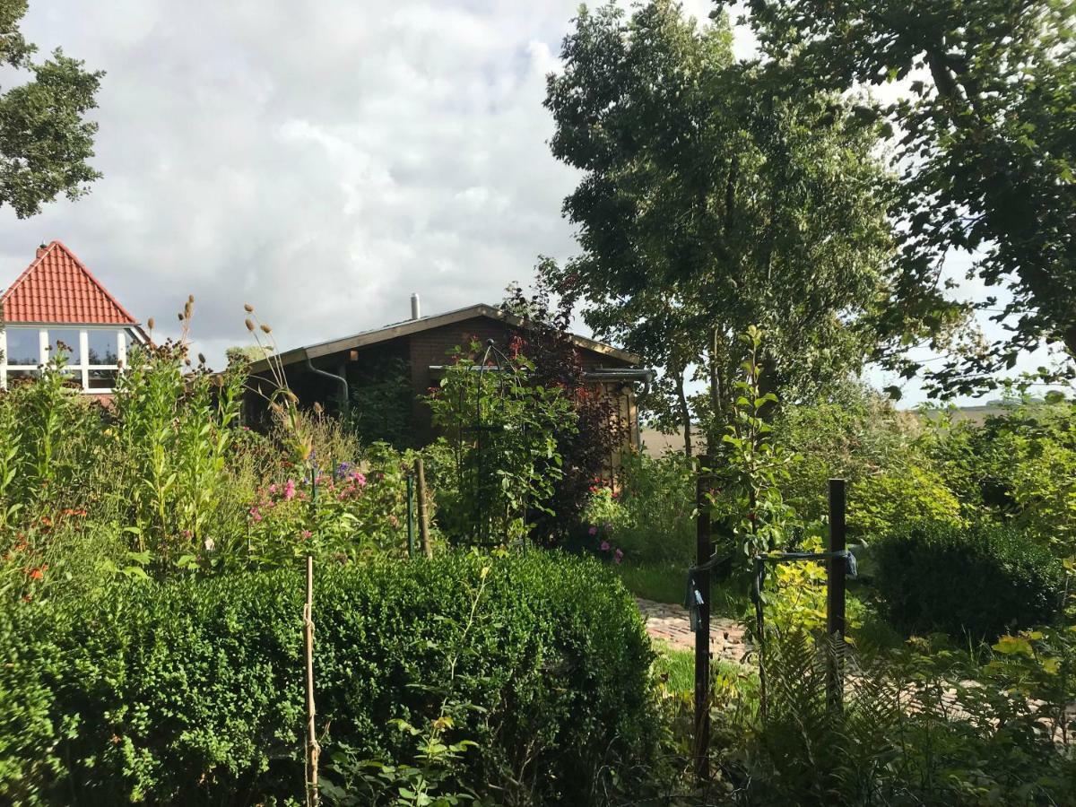 Gartenhaus Frieda Galmsbull 외부 사진