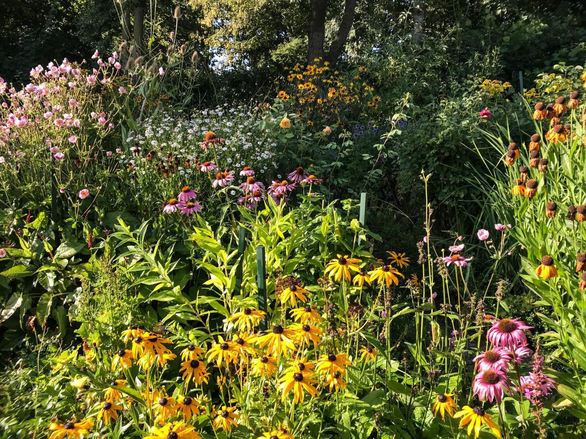 Gartenhaus Frieda Galmsbull 외부 사진